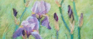 Catherine Christiano, Irises #1 (detail), 1997, pastel on paper, 13 3/8 x 10 5/8 inches.