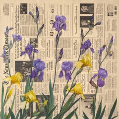 Irises | May 2016; from the series Album of Flowers | Interesting Times