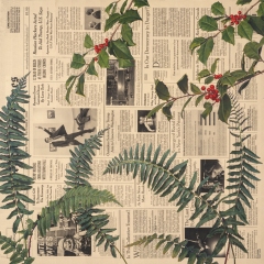 Holly and Christmas Ferns | December 2016; from the series Album of Flowers | Interesting Times