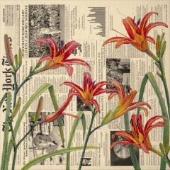 Catherine Christiano; Summer - Daylilies; 2019; oil, acrylic, and transfer prints on panel; 18 x 18 inches. Photo credit: Paul Mutino.